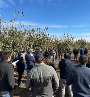 WhatsApp Image 2024-11-28 at 15.41.30