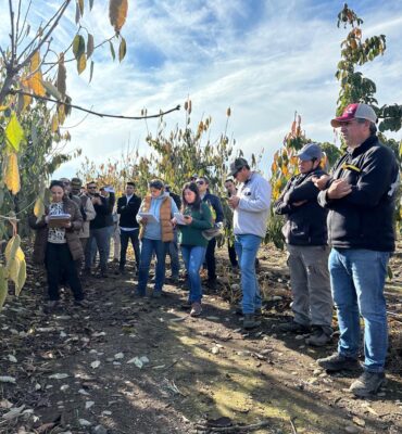 WhatsApp Image 2024-11-28 at 15.42.20