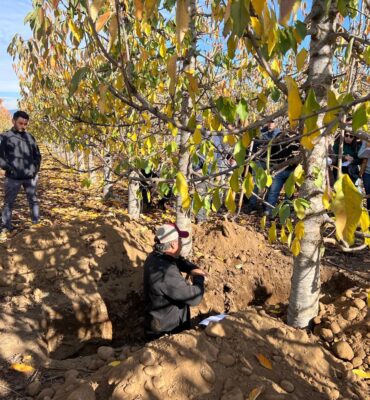 WhatsApp Image 2024-11-28 at 15.42.21 (1)