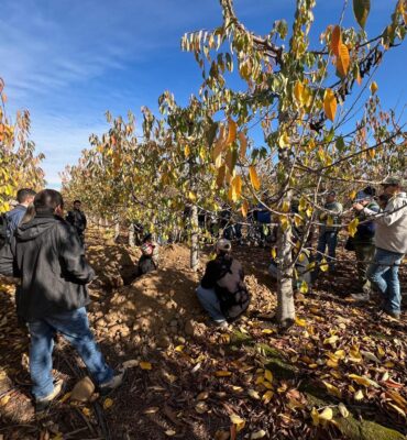 WhatsApp Image 2024-11-28 at 15.42.21 (2)