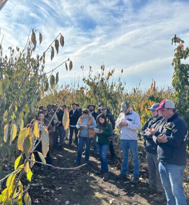 WhatsApp Image 2024-11-28 at 15.42.21