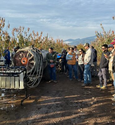 WhatsApp Image 2024-11-28 at 15.43.48 (1)