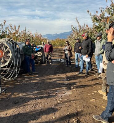 WhatsApp Image 2024-11-28 at 15.43.48