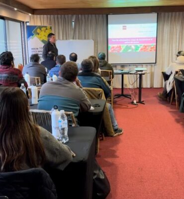 WhatsApp Image 2024-11-28 at 15.51.31