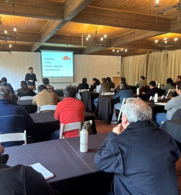 WhatsApp Image 2024-11-28 at 15.53.29